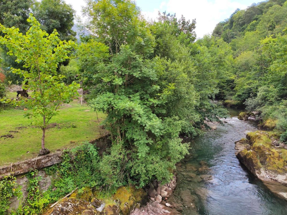 Apartamento Aguas Del Sella Precendi Exteriör bild